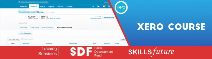 Xero accounting Training Course Singapore