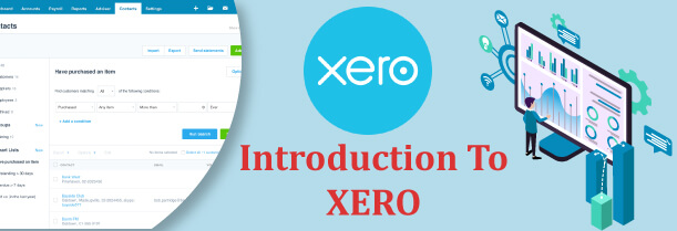 xero accounting software training